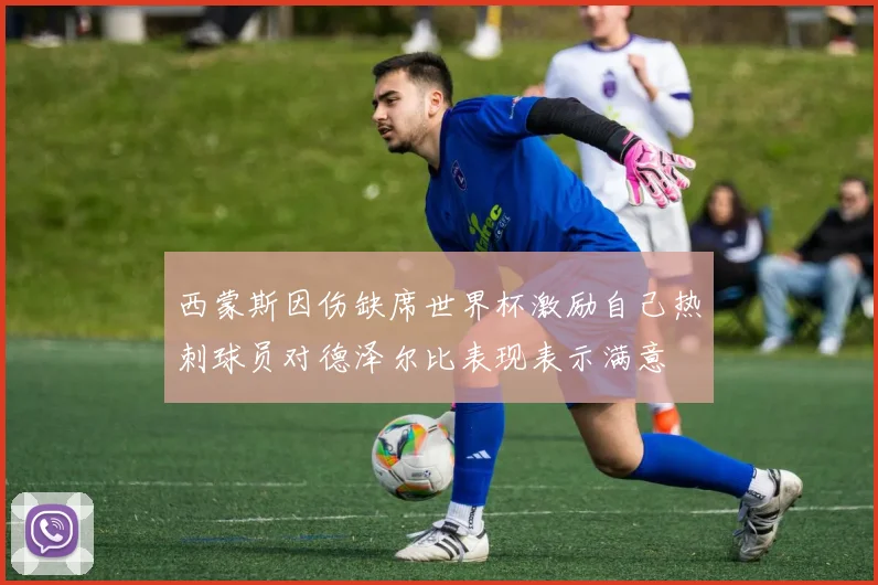 西蒙斯因伤缺席世界杯激励自己热刺球员对德泽尔比表现表示满意